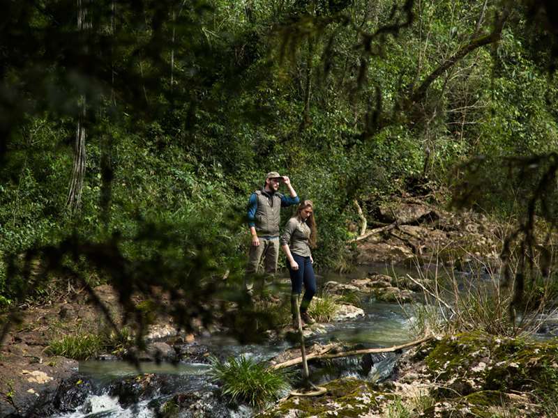 Mocona Virgin Lodge Saltos del Moconá Ανέσεις φωτογραφία